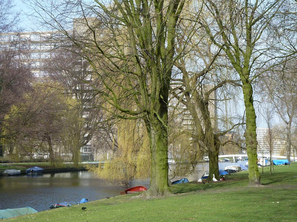 Westlandgracht - Amsterdam