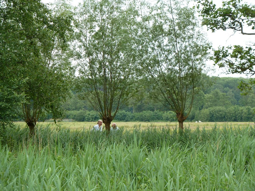 Polder Meerzicht - Amsterdam