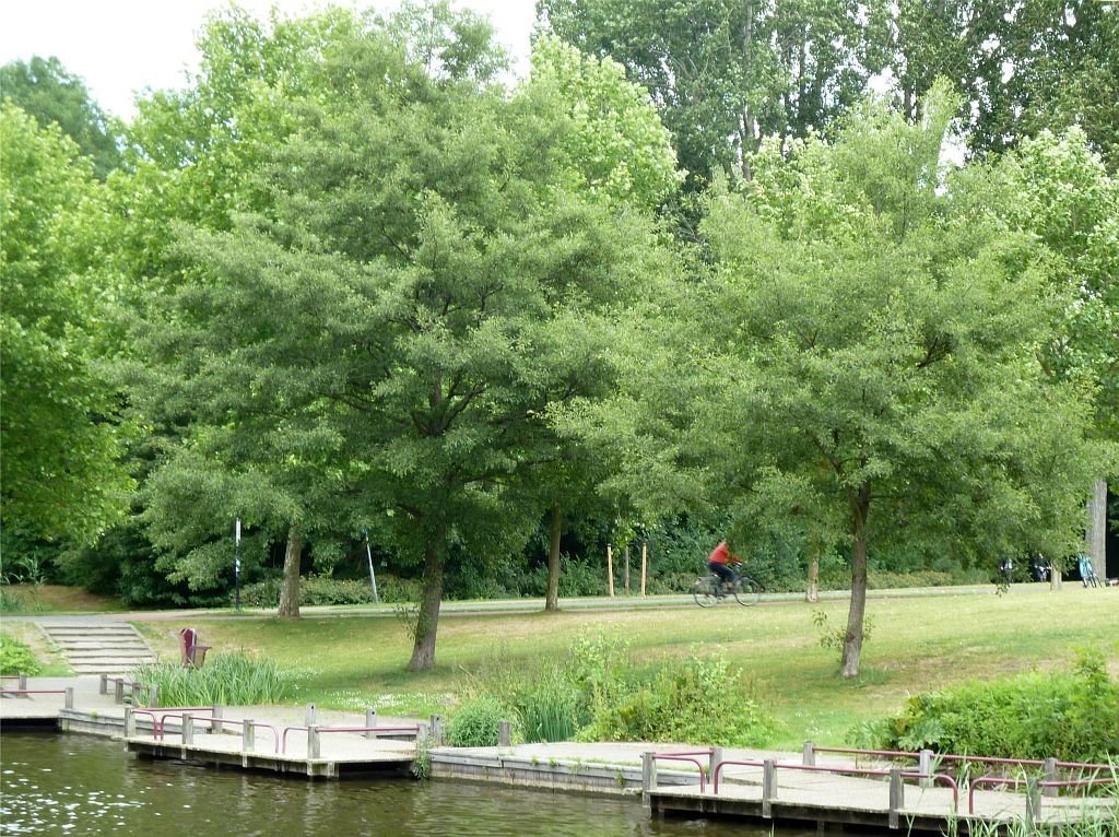 Natte vallei - Amsterdam