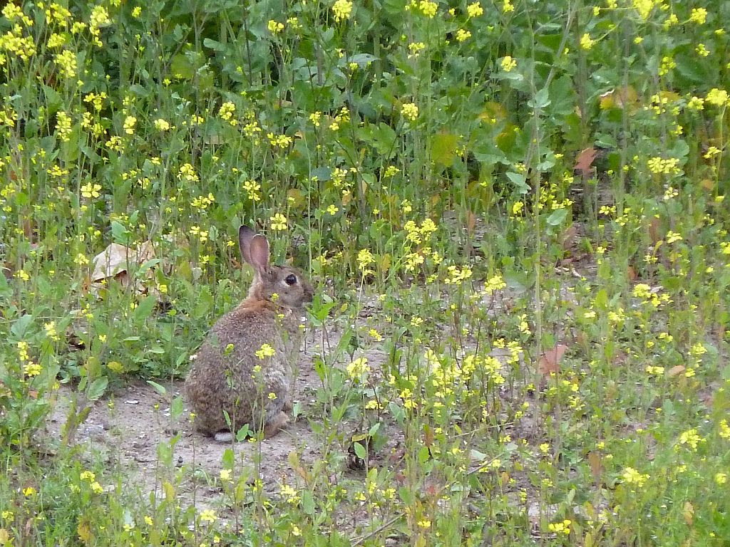 Sloterdijkerweg - Amsterdam