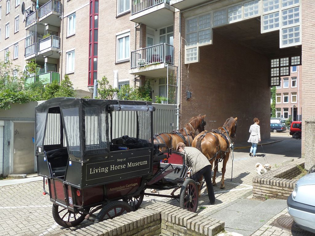 De Hollandsche Manege - Amsterdam