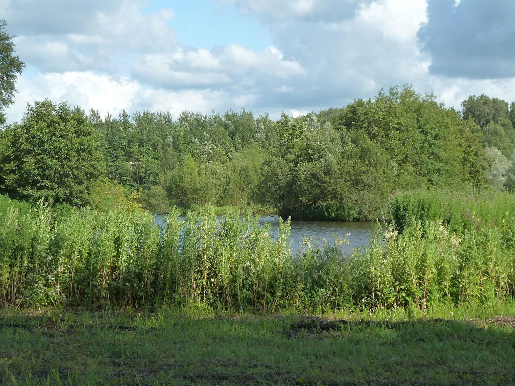 Wetlands vml. Vietnamweide - Amsterdam