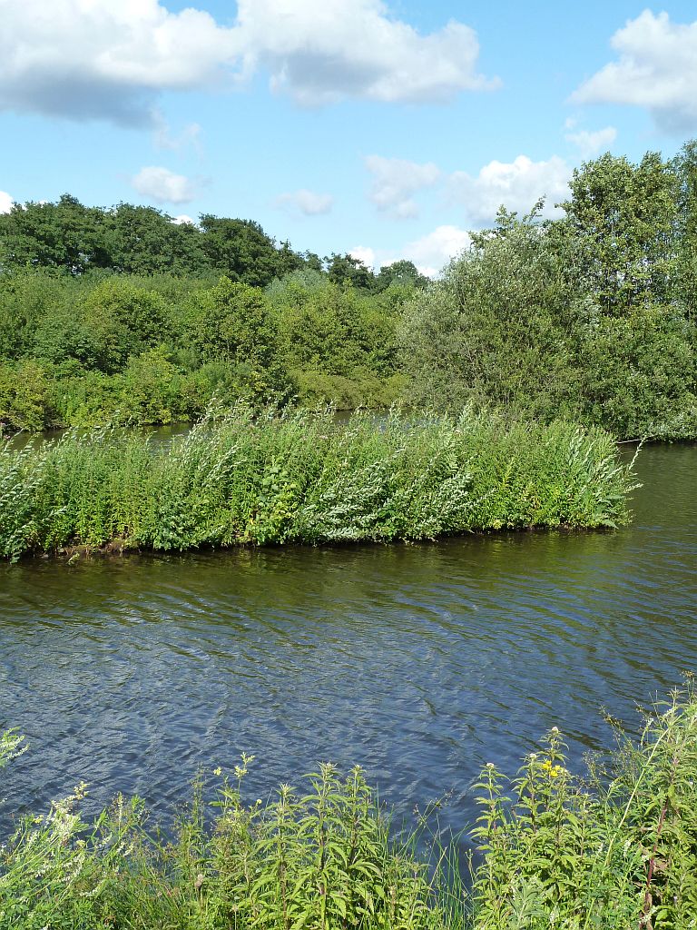 Wetlands vml. Vietnamweide - Amsterdam