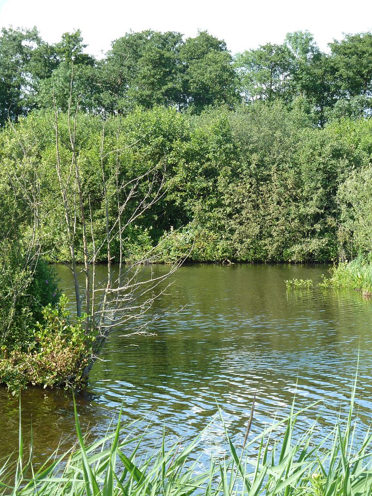 Wetlands vml. Vietnamweide - Amsterdam