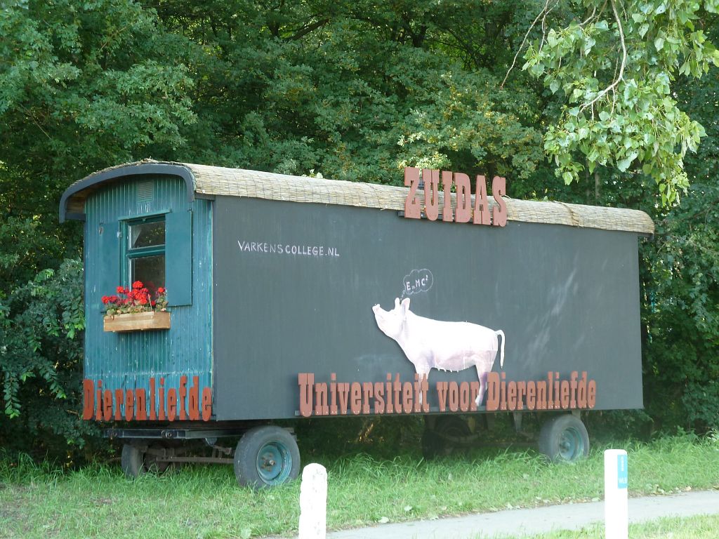 Universiteit voor Dierenliefde - Bofkont Universiteit - Amsterdam