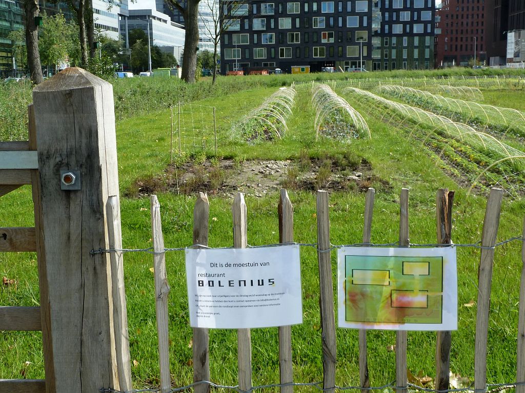 Tijdelijk Park Zuidas - Amsterdam