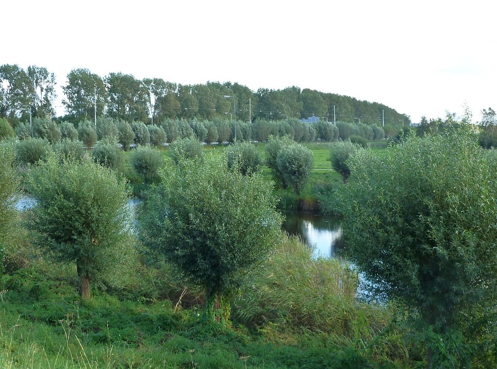 Park Overamstel - Amsterdam