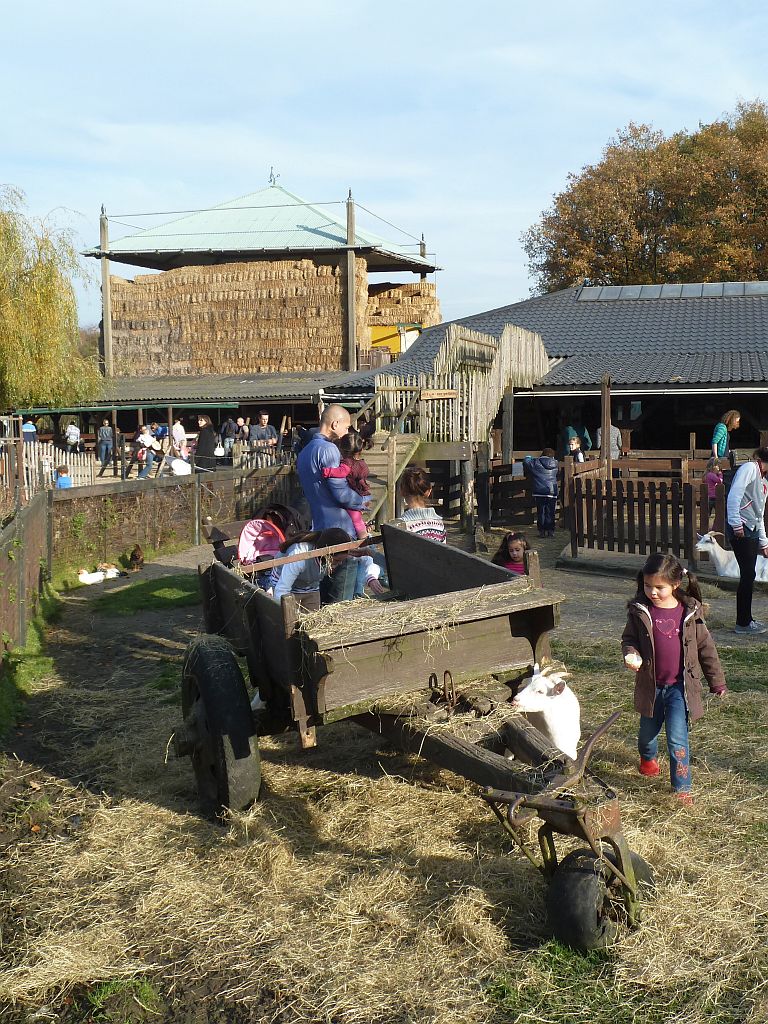 Geitenboerderij Ridammerhoeve - Amsterdam