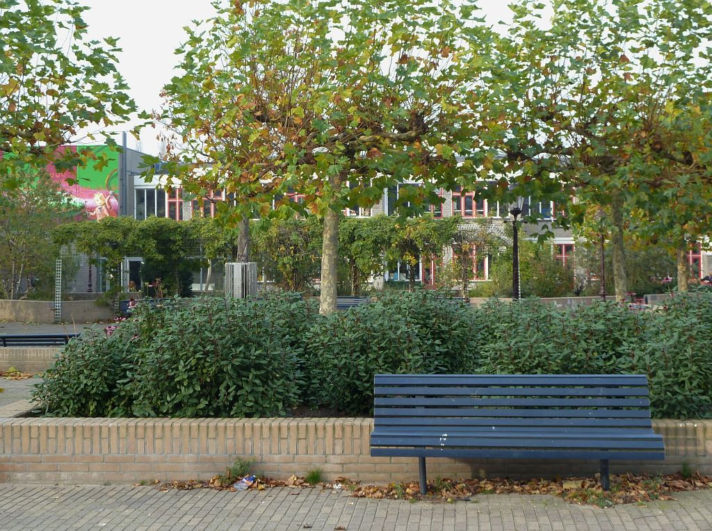 Brede School De Kinkerbuurt - Amsterdam