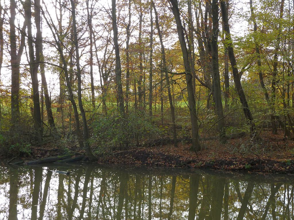 Zuidweide - Amsterdam