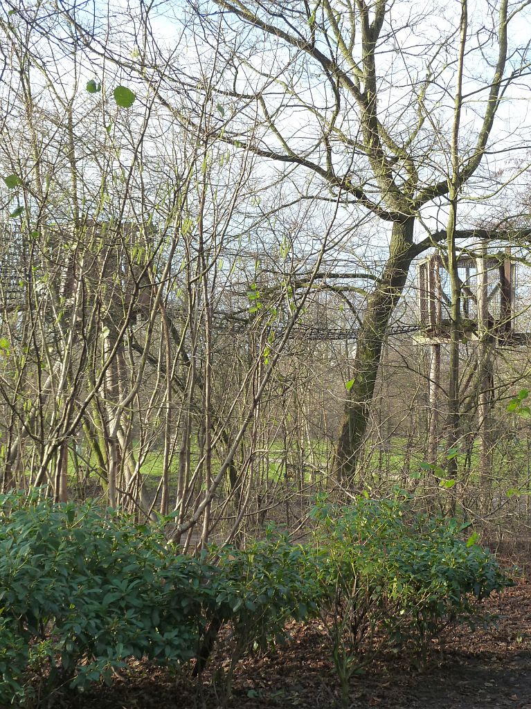 Klauterbos - Amsterdam