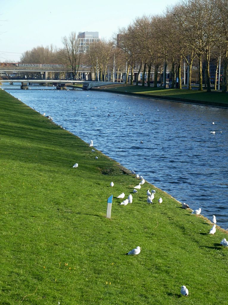 Slotervaart - Amsterdam