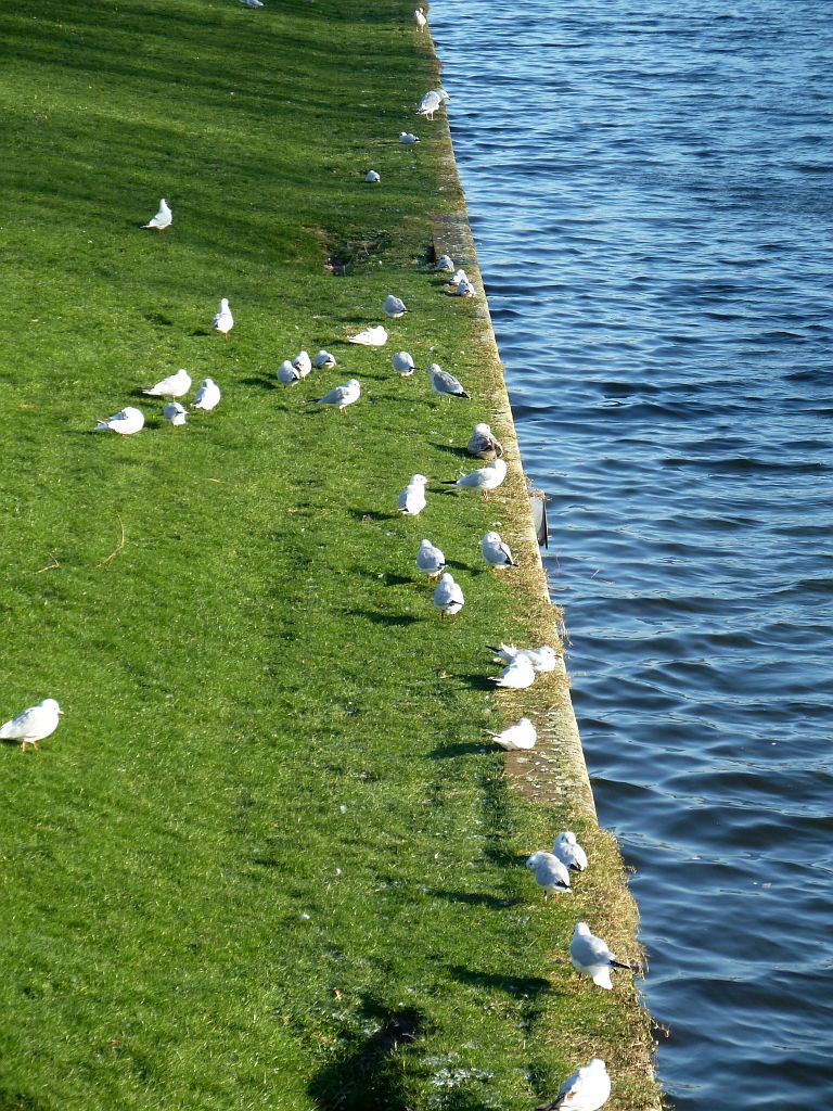 Slotervaart - Amsterdam