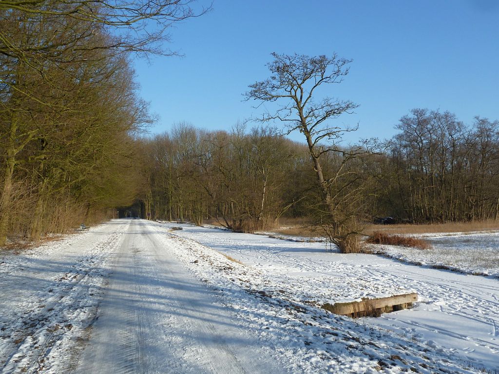 Kleine Noorddijk - Amsterdam