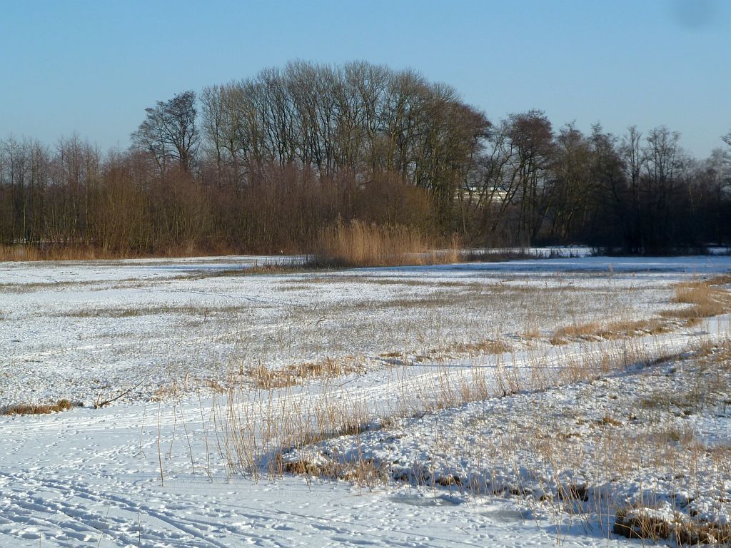 Oeverlanden De Poel - Amsterdam