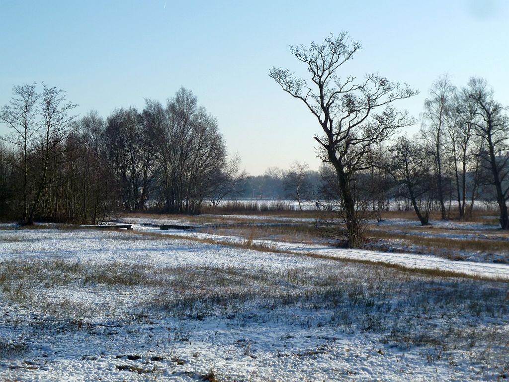 Oeverlanden De Poel - Amsterdam