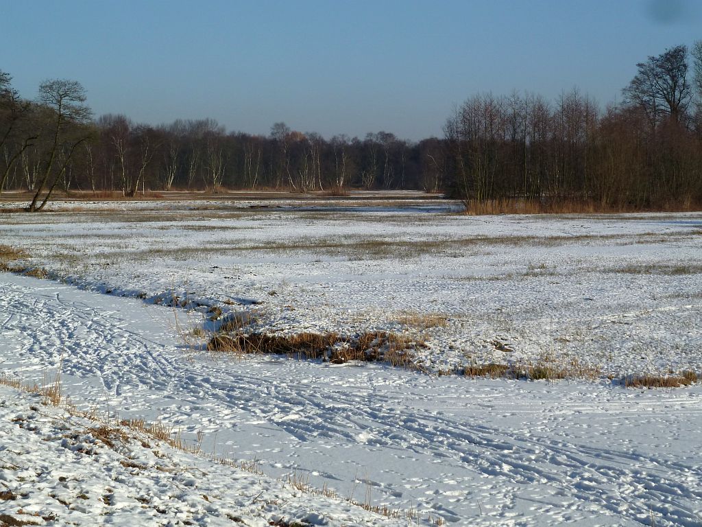 Oeverlanden De Poel - Amsterdam