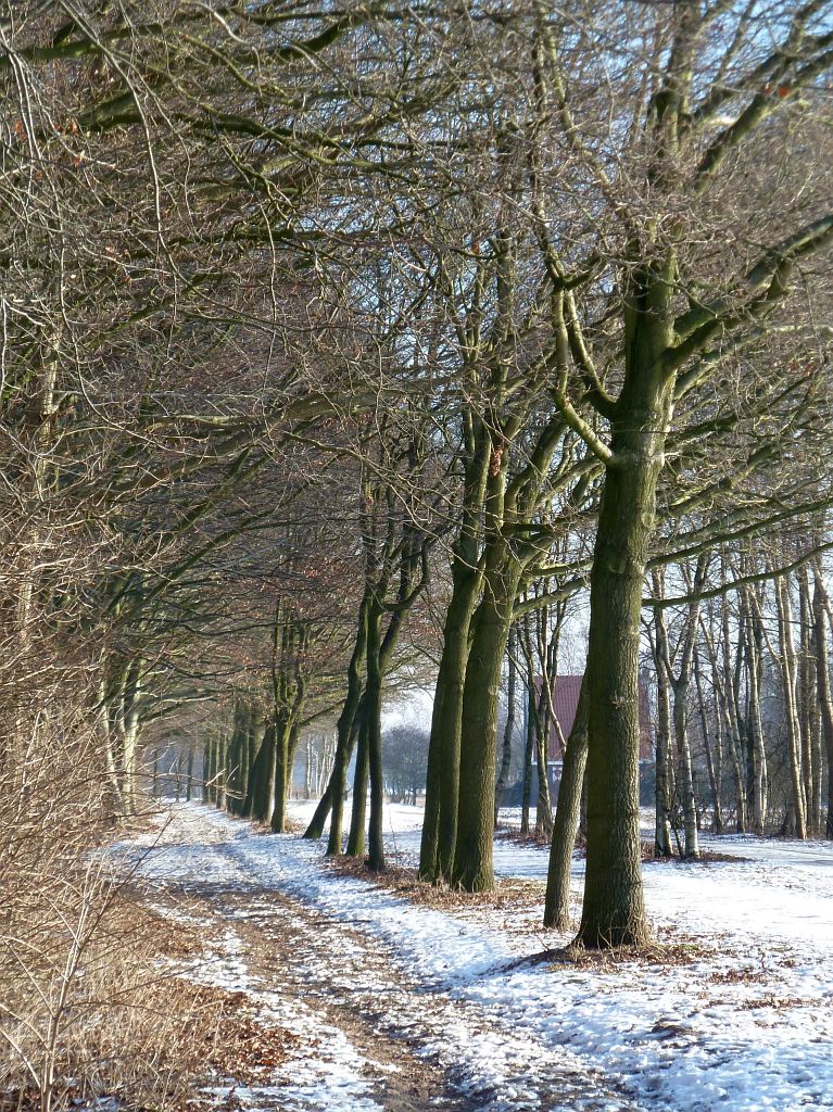 Kleine Noorddijk - Amsterdam