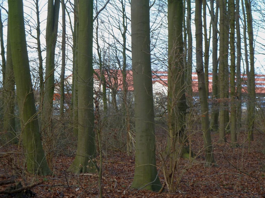 Bosrandweg - Amsterdam