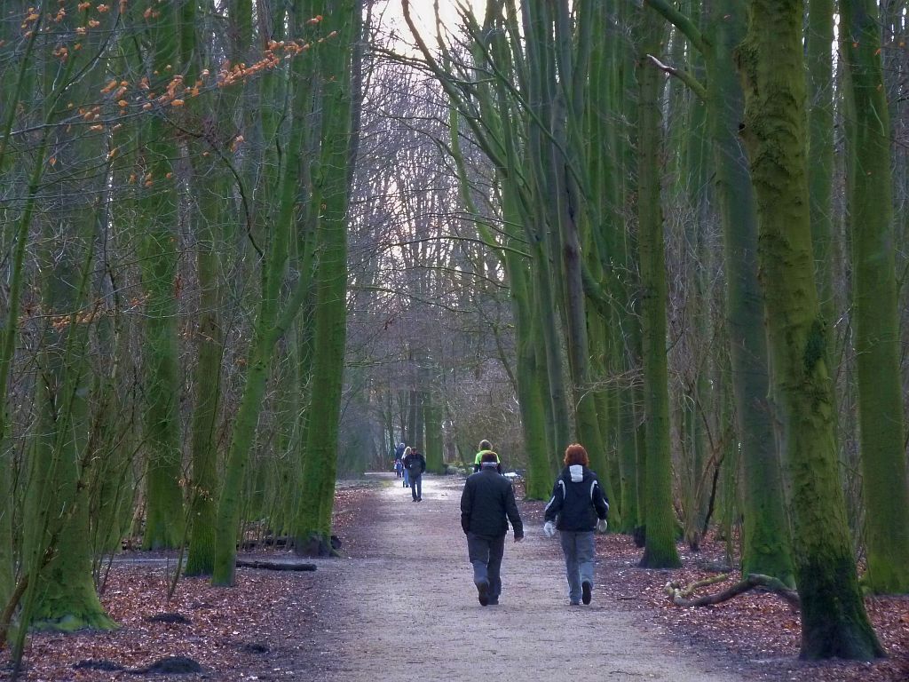 Bosrandweg - Amsterdam