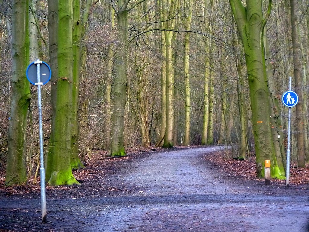 Bosrandweg - Amsterdam