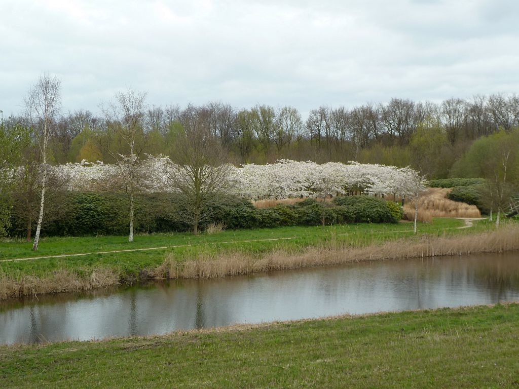 Bloesempark - Amsterdam