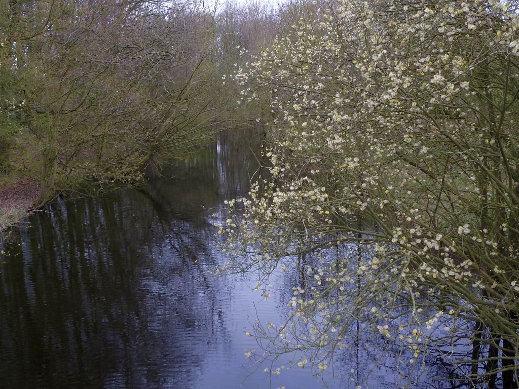 Singel - Amsterdam