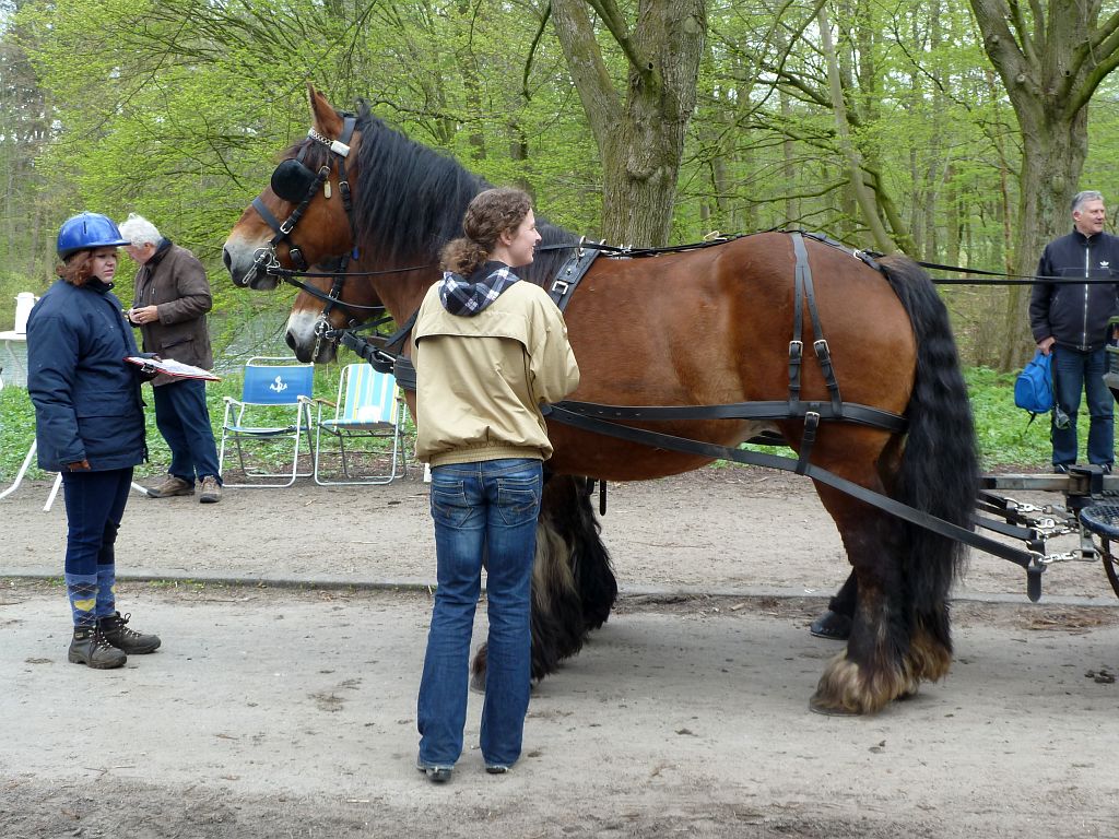 Menwedstrijd 2012 - Amsterdam