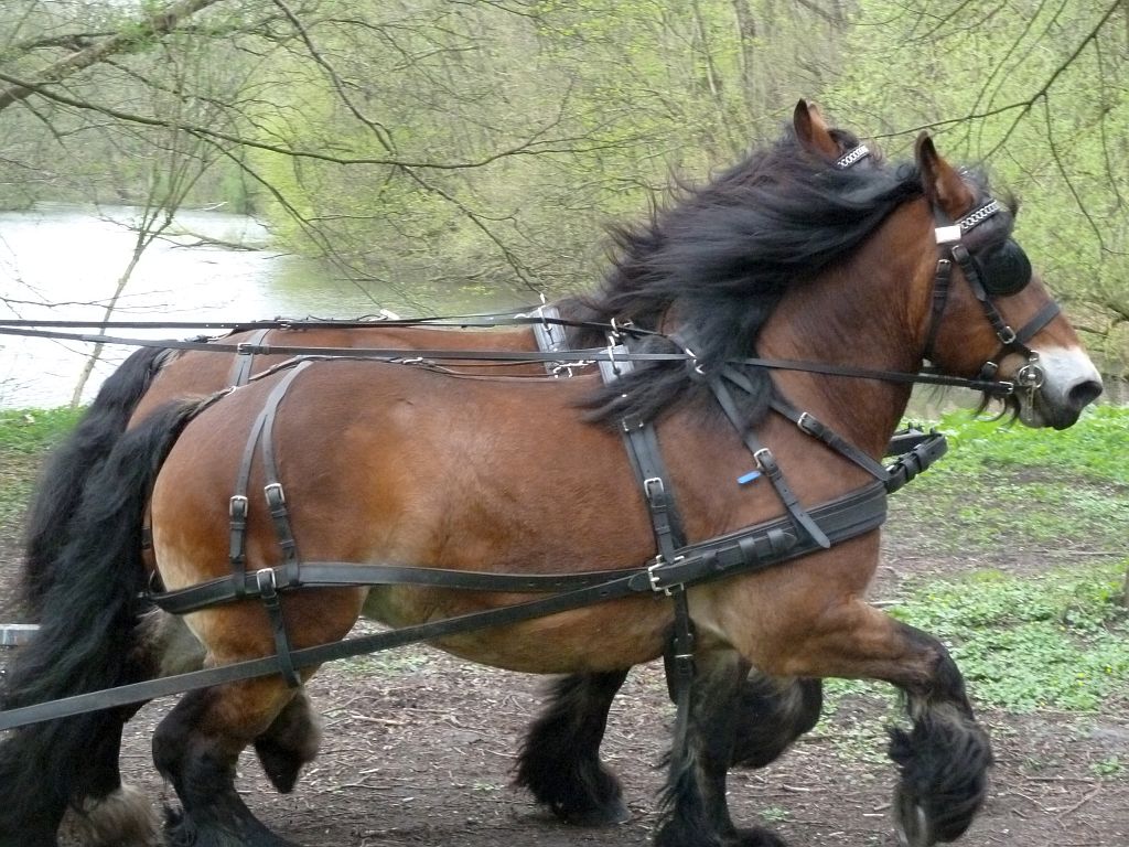 Menwedstrijd 2012 - Amsterdam