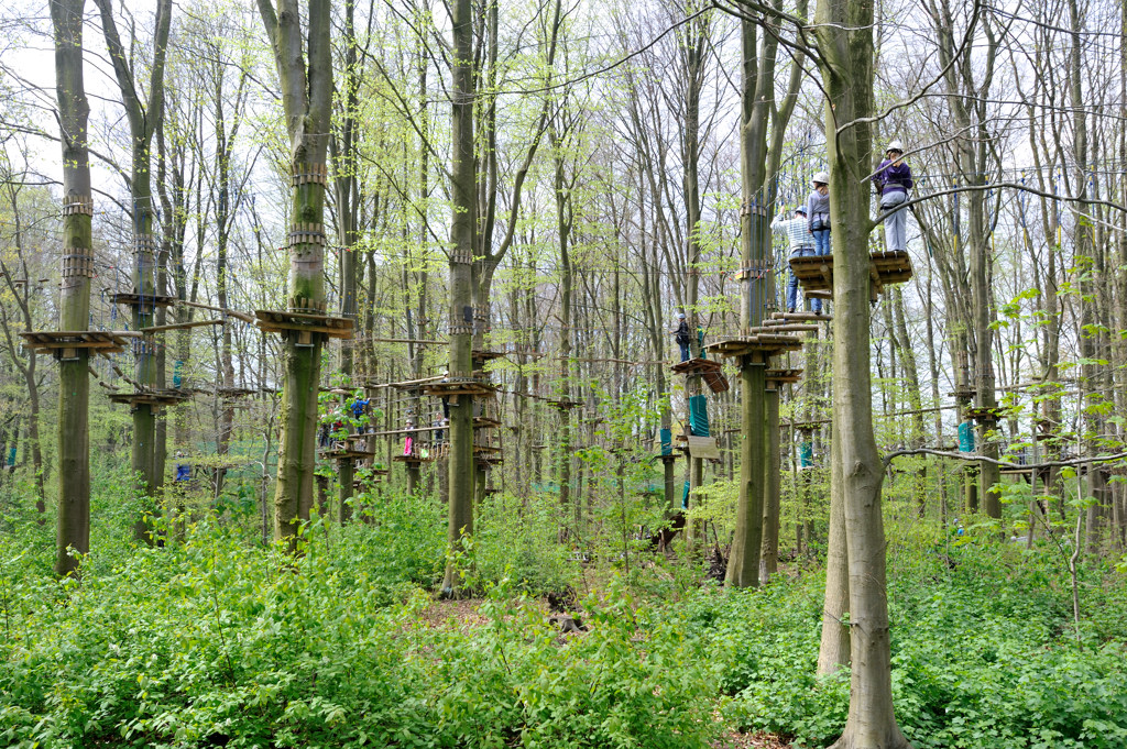 Klimpark Fun Forest - Amsterdam