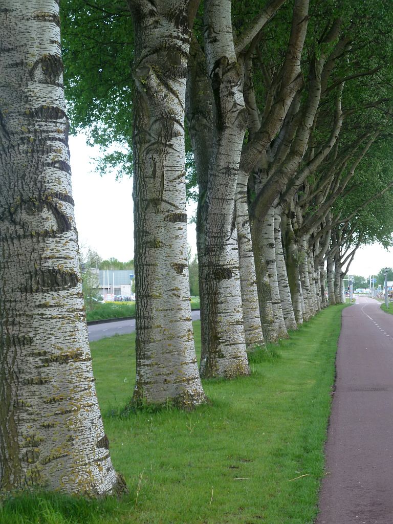 Stekkenbergweg - Amsterdam