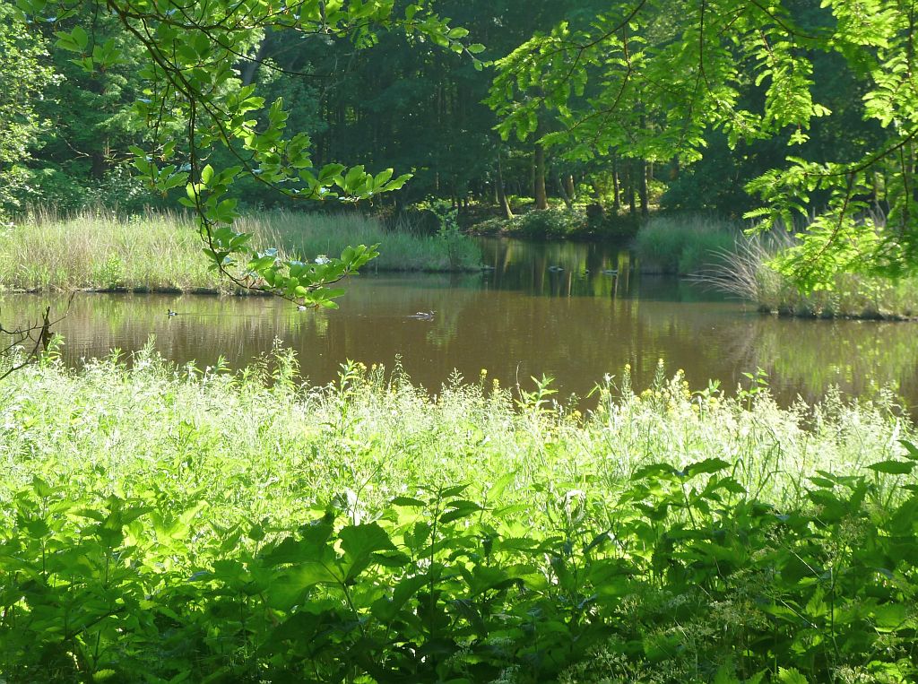 Doorwaadbare plaats - Amsterdam