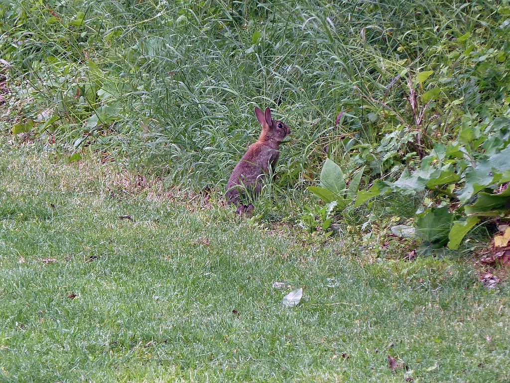 Spoorslag - Amsterdam