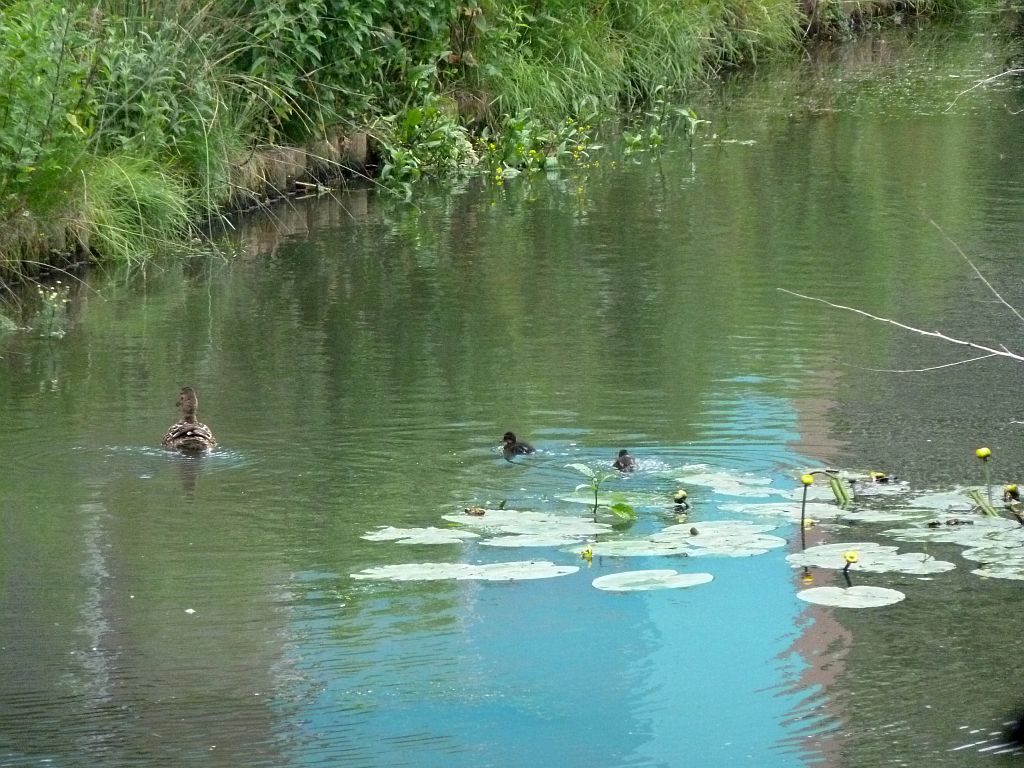 Europaboulevard - Amsterdam