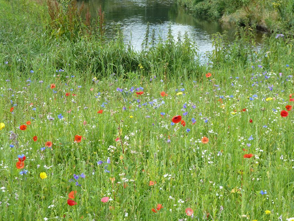 De Boelelaan - Amsterdam