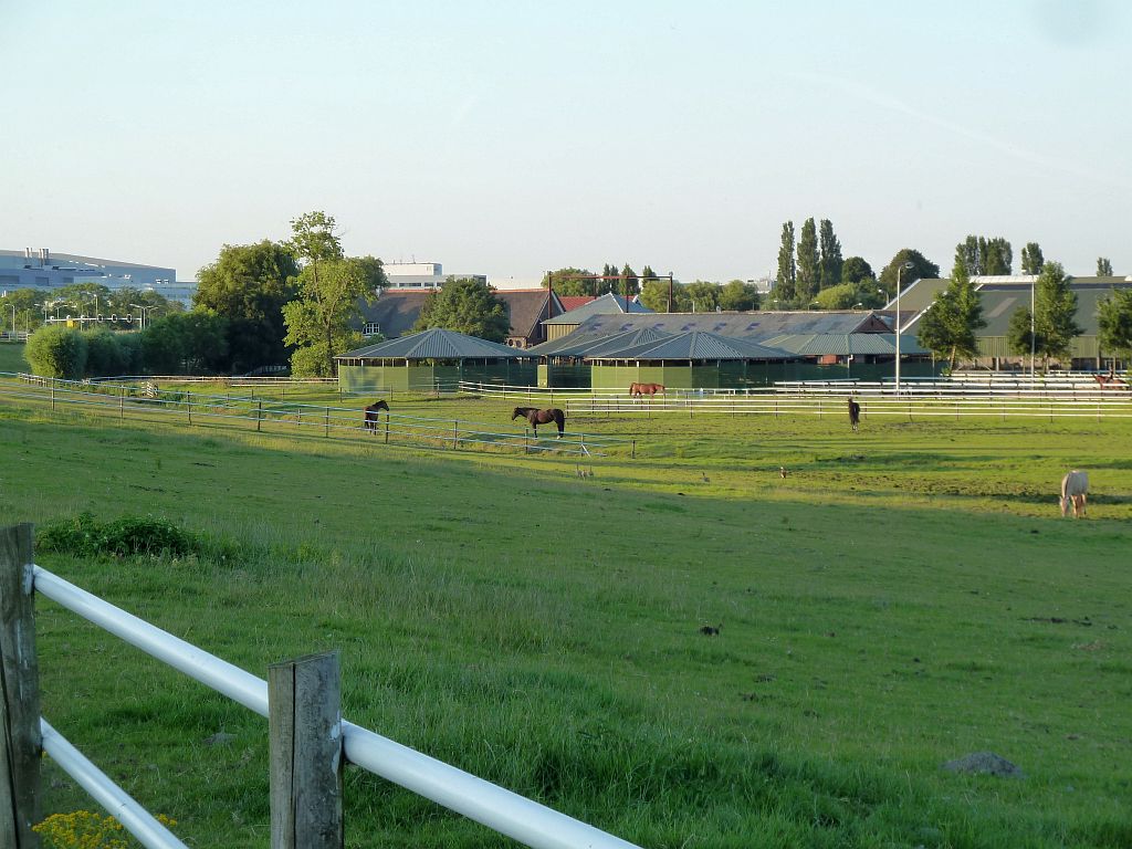 Paardensportcentrum Wennekers - Amsterdam