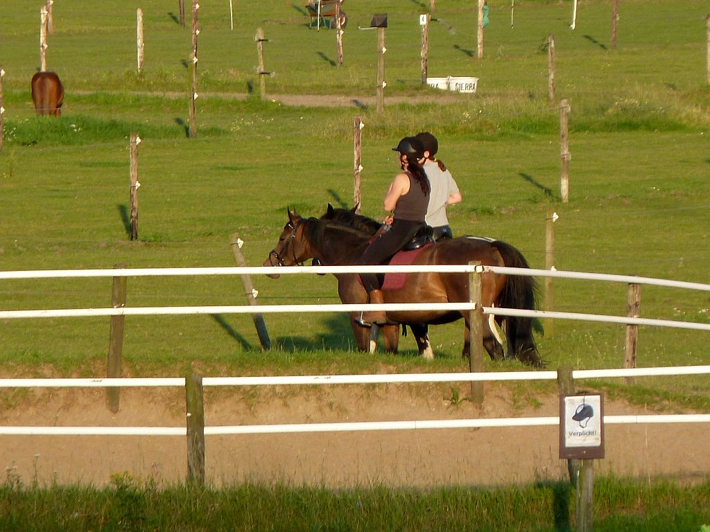 Paardensportcentrum Wennekers - Amsterdam