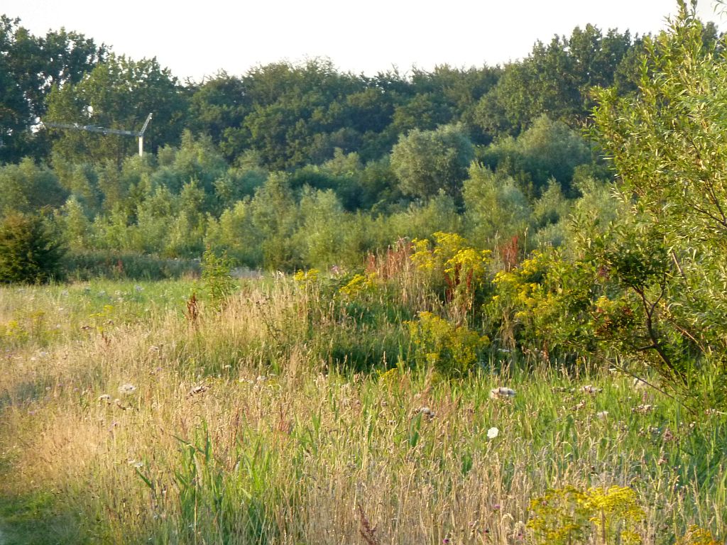Schinkelbos - Amsterdam