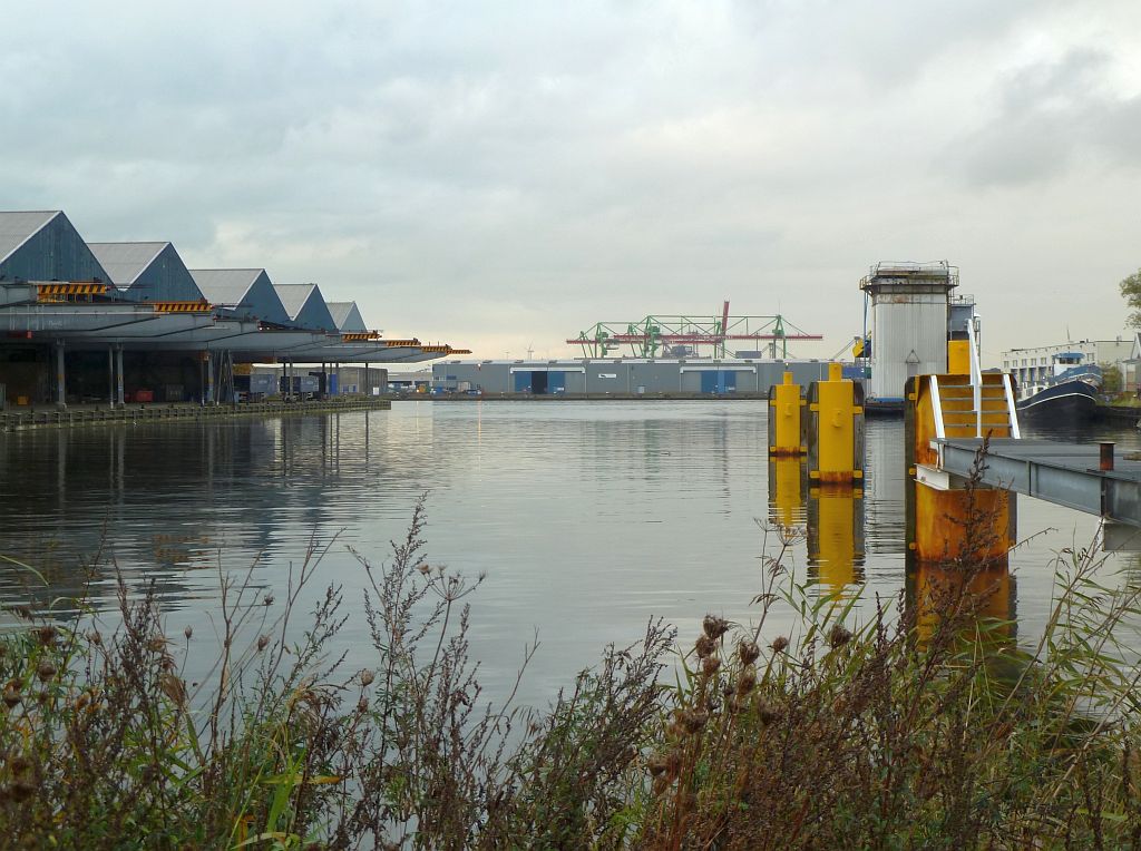 Moezelhaven - ODS - Amsterdam