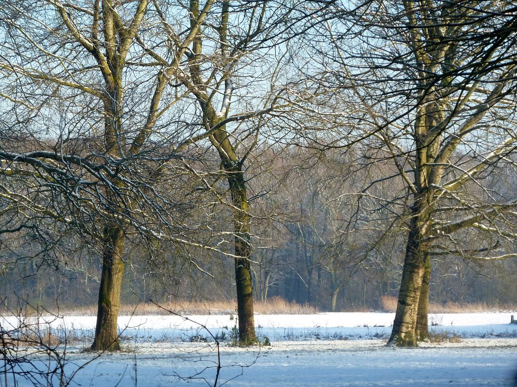 Evenemententerrein Het Land van Bosse - Amsterdam