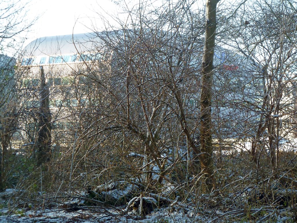 Schipholdijk - Kantoorgebouwen Tristar - Amsterdam