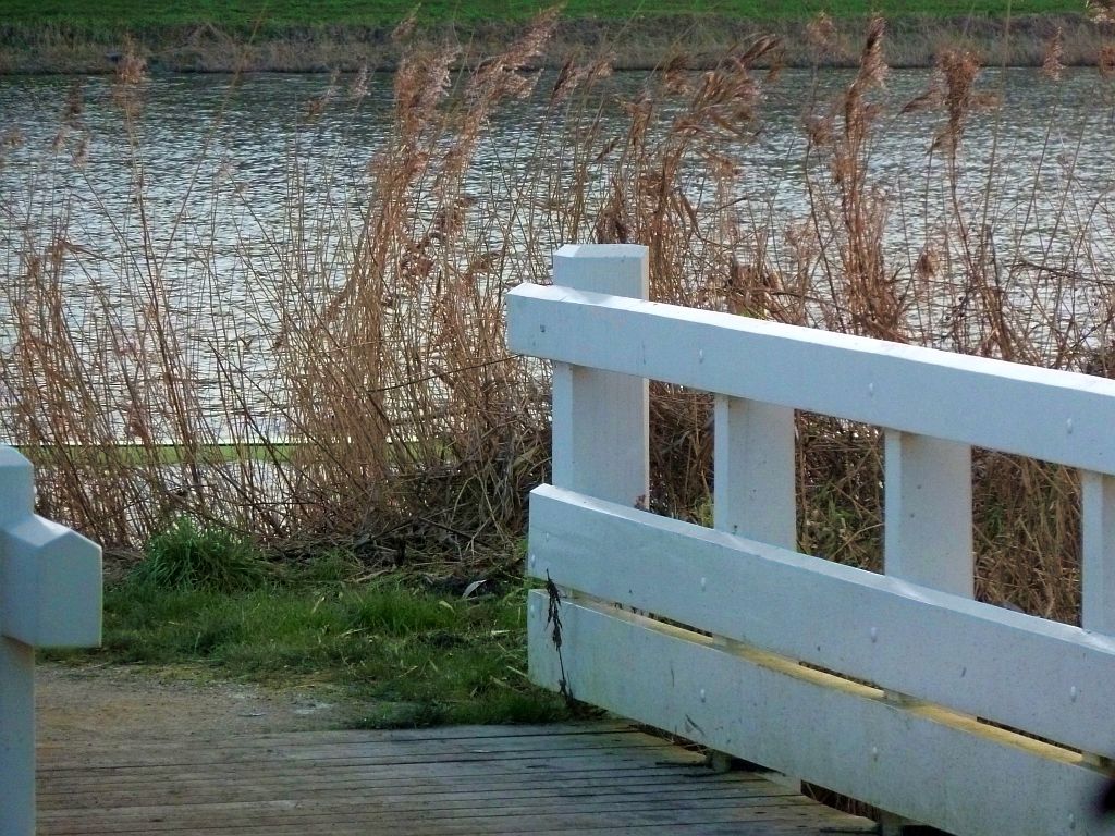 Brug 500 - De Bosbaan - Amsterdam