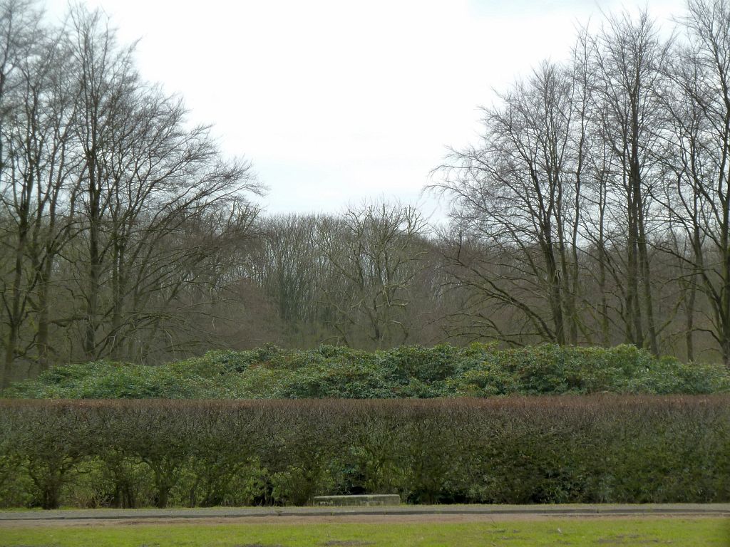 Tussen Grote Speelweide en Groot Kinderbad - Amsterdam