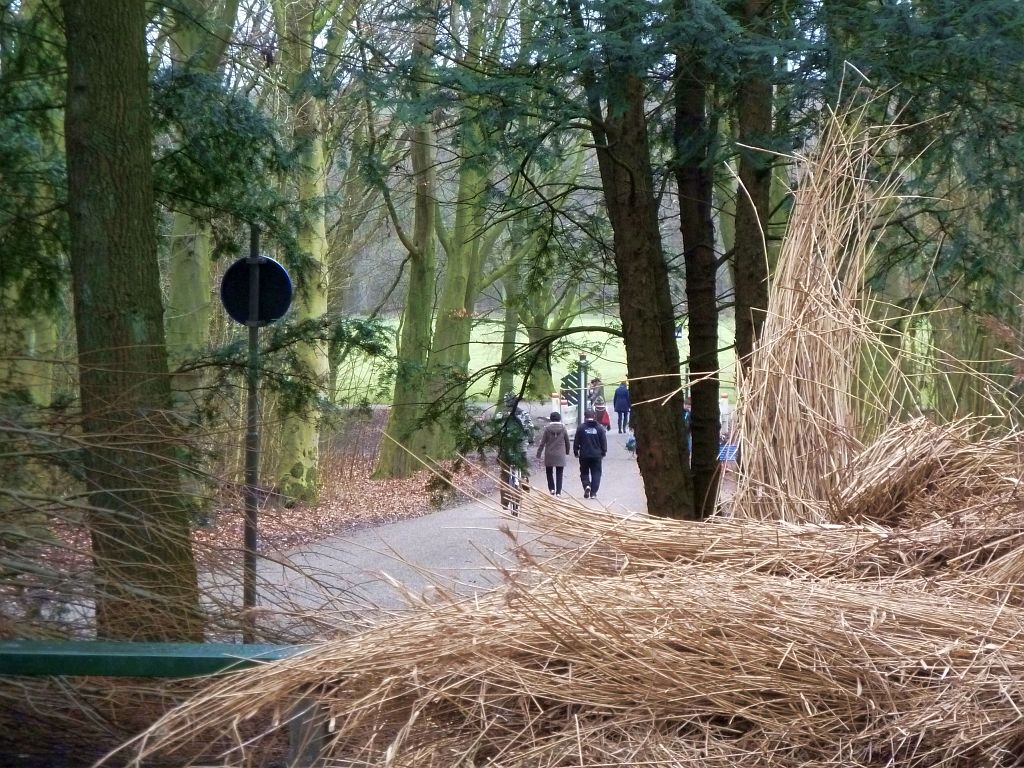 Openluchttheater - Amsterdam