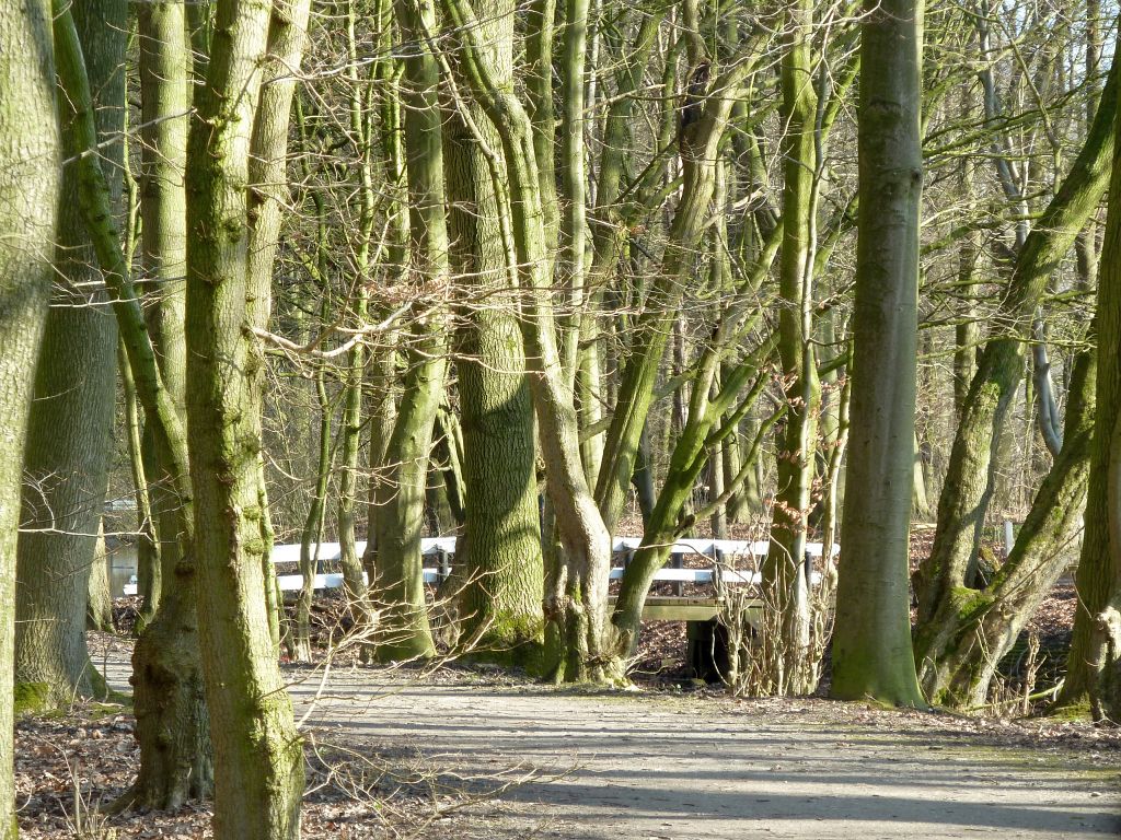 Brug 534 - Amsterdam