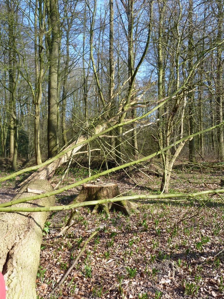 Vlakbij de Schuur bij het Vogeleiland - Amsterdam