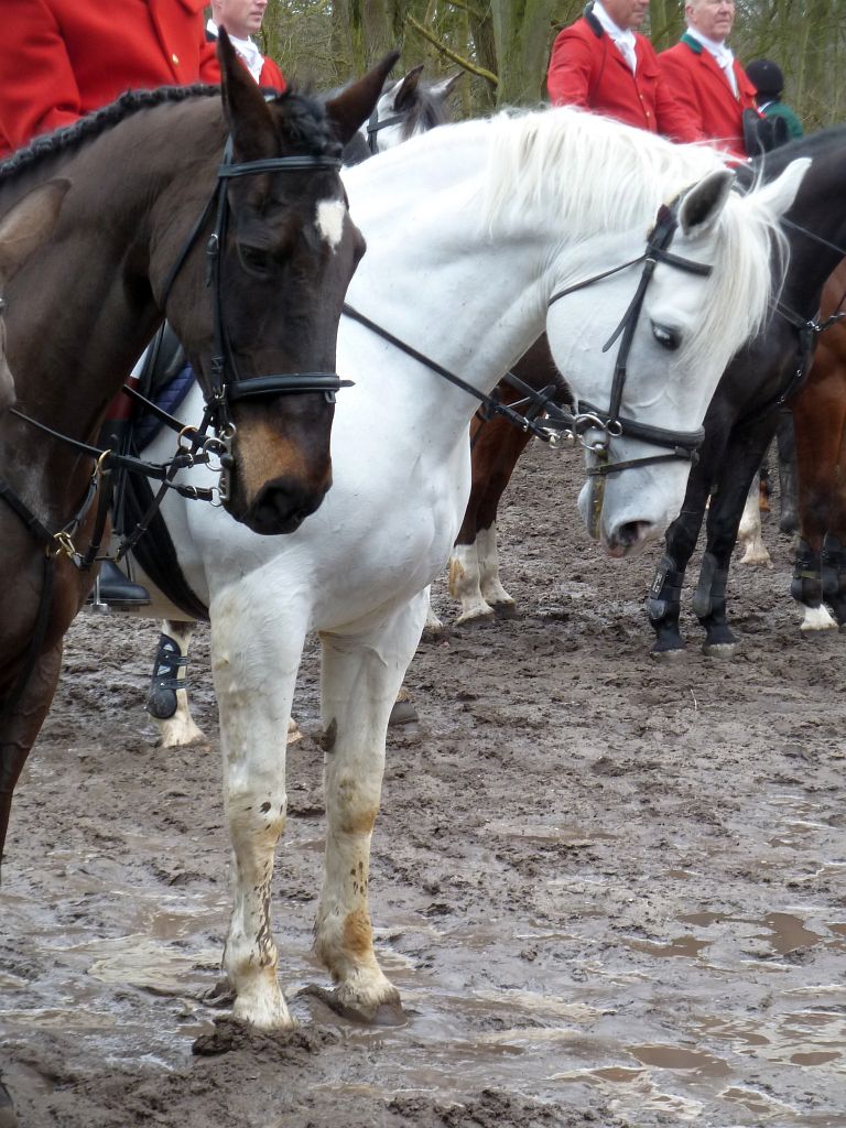 Slipjacht 2013 - Amsterdam