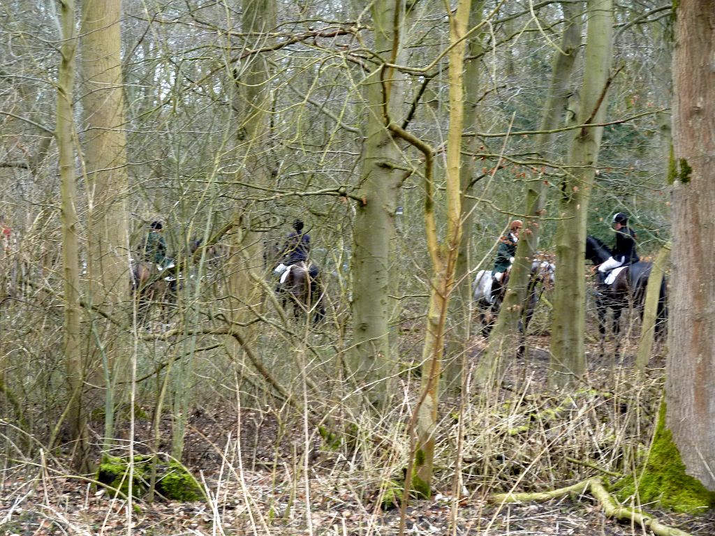 Slipjacht 2013 - Amsterdam