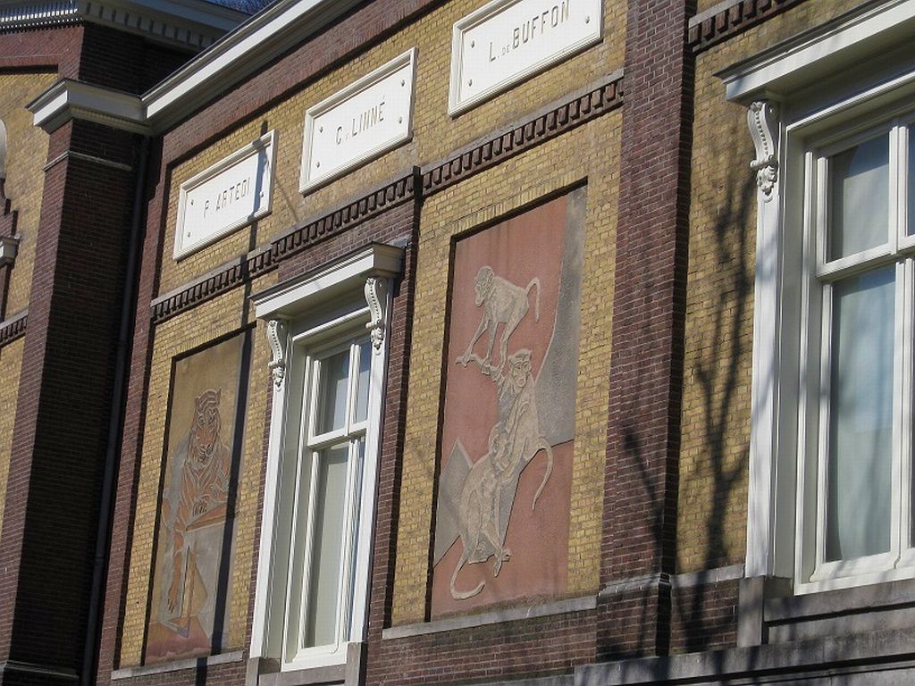 Artis Bibliotheek - Amsterdam