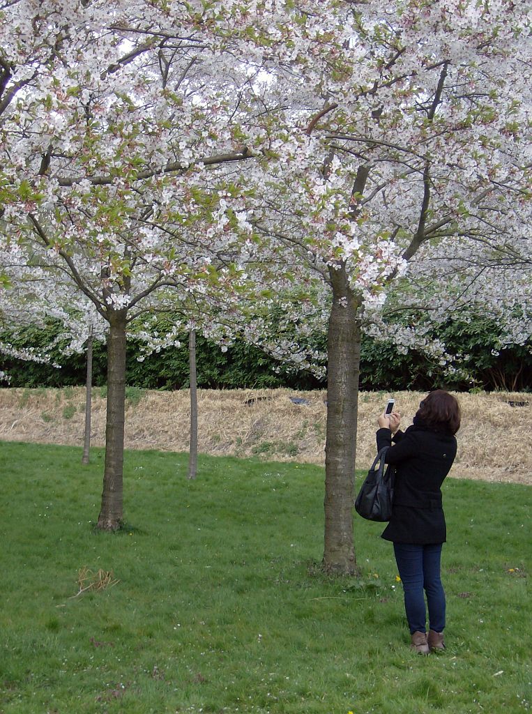 Bloesempark - Amsterdam